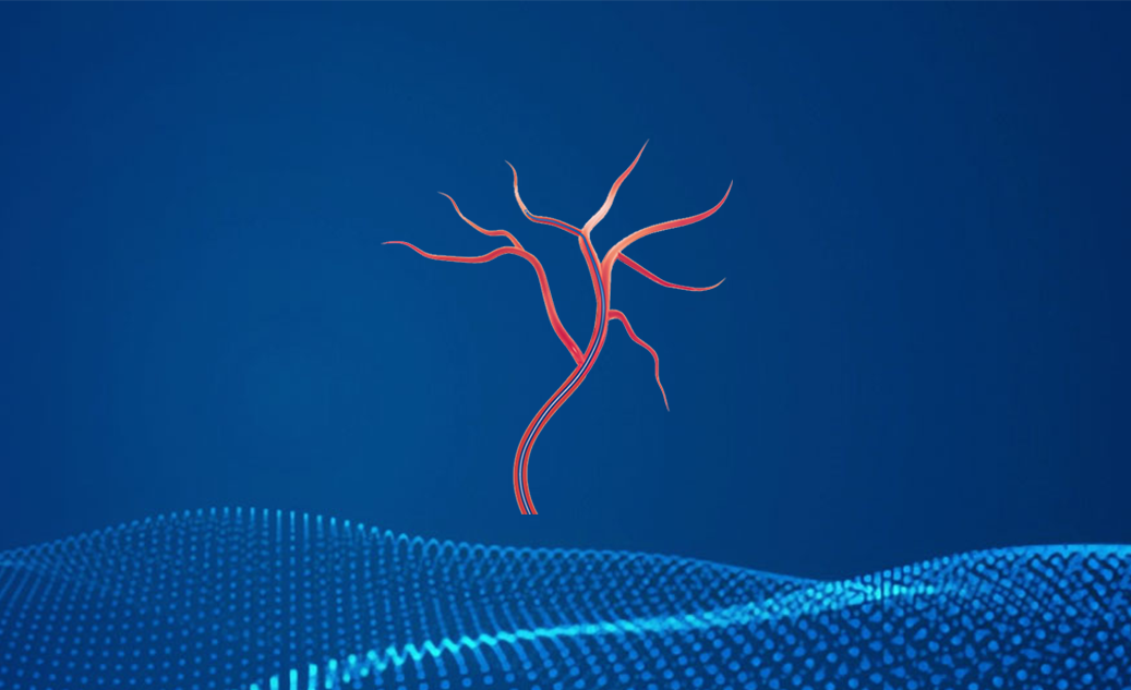 亚洲熟女乱色一区二区三区